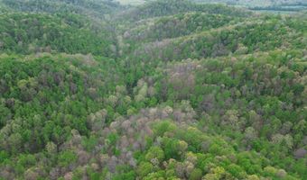 1271 A Tunnel Ridge Rd, Argillite, KY 41121