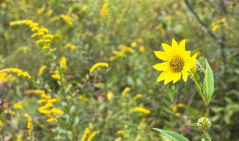 213 Patterson Creek Dr, Alderson, WV 24910