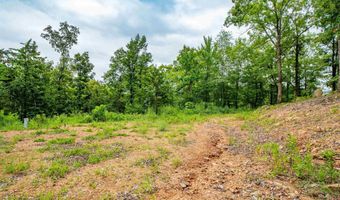 100 Block SPANISH MINE, Jessieville, AR 71909