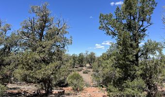 462 Un Named Rd, Ash Fork, AZ 86320