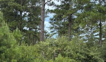 Fop Lodge Rd, Andalusia, AL 36421