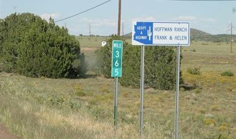 Lot 55 Concho Lakeland, Concho, AZ 85924