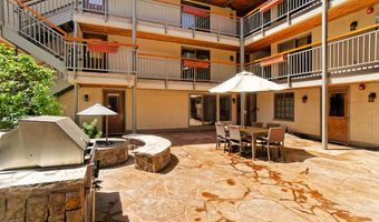 630 E Cooper Ave 1, Aspen, CO 81611