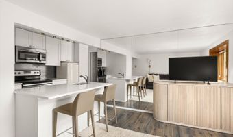 119 E Cooper Ave 25, Aspen, CO 81611