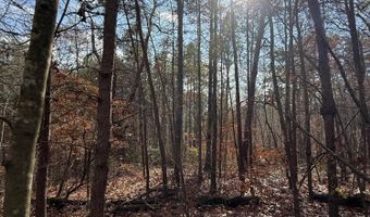 Parksville Road lot 1, Benton, TN 37307