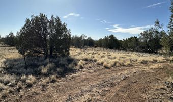 116 B NE Raging Crab Rd, Ash Fork, AZ 86320