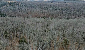 Hickory Flats Road, Ava, MO 65608
