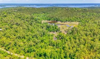 93 Acres Dell Rd, Bainbridge, GA 39819