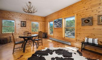 679 Brush Creek Rd, Aspen, CO 81611