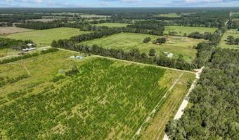 Lot 1 50th Ave, Bell, FL 32619