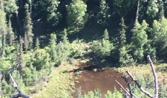 51900 W Glenn Hwy, Chickaloon, AK 99674