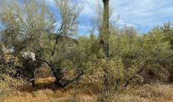 5536 E WOODSTOCK Rd 10, Cave Creek, AZ 85331