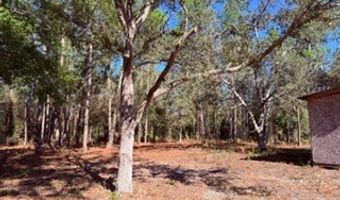 2629 NW 29th Ter, Bell, FL 32619