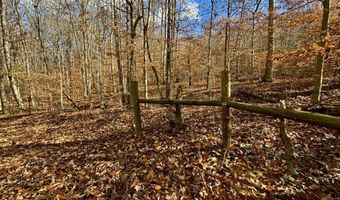 1520 Brittontown Rd, Afton, TN 37616
