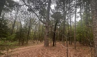 UNIT # 263B KIAMICHI WILDERNESS RD Unit # 63 63, Antlers, OK 74523