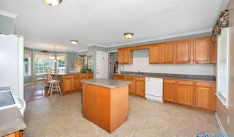 17281 Huntsville Brownsferry Rd, Athens, AL 35611