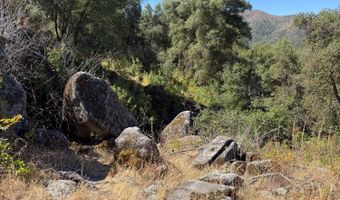 41902 Woodward Way, Ahwahnee, CA 93601