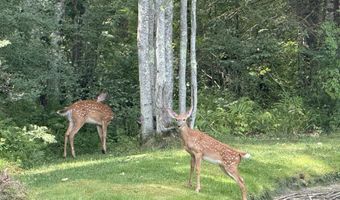 1159 Hotel Rd, Auburn, ME 04210