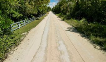 55 Th St, Bell, FL 32619