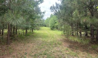 Colice Hall Lane, Ahoskie, NC 27910