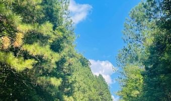 120 Hawks Ct, Ball Ground, GA 30107