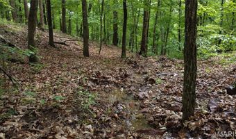 13 Hidden Vly Lks, Annapolis, MO 63620