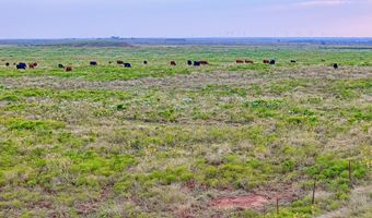 HWY 79, Archer City, TX 76374