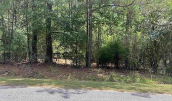 TBD Ervin Road Ervin Rd, Andrews, SC 29510