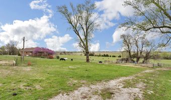 3988 N Farm Road 35, Ash Grove, MO 65604