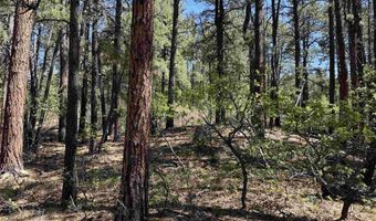 156 Lake View Cir, Bayfield, CO 81122