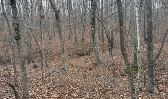 HARDWARE RD lot 1, Arvonia, VA 23004