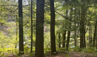 Eagle Nest Lane, Alger, MI 48610
