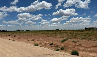 SE CR 2870, Andrews, TX 79714