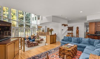 431 W Hopkins Ave, Aspen, CO 81611