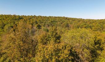 County Road 204, Alton, MO 65606