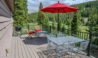 46 MCDILL Rd, Breckenridge, CO 80424