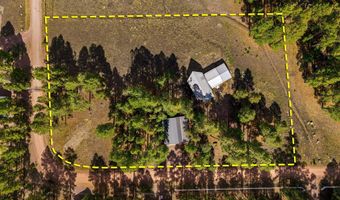 22 CR 2082, Alpine, AZ 85920