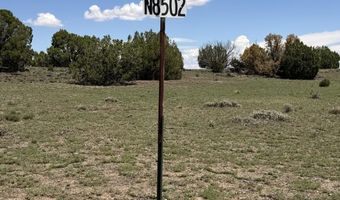 141 N8515, Concho, AZ 85924