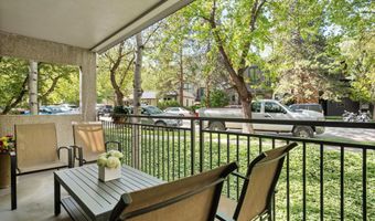 800 E Hopkins Ave A-3, Aspen, CO 81611