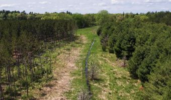 Chicago Avenue lot 2, Arkdale, WI 54613