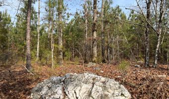 Cunningham Road, Bradley, SC 29819