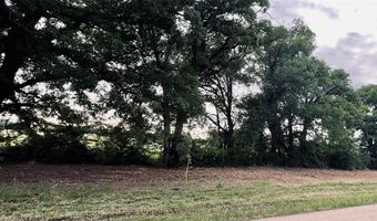 Lot 5 COUNTY ROAD 1560, Alba, TX 75410