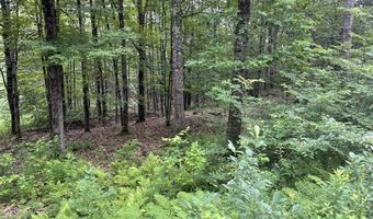 956 N Barnstead Rd, Barnstead, NH 03225