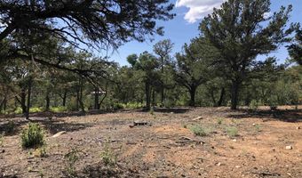 Tract B 266 Gallina Canyon Road, Valdez, NM 87580