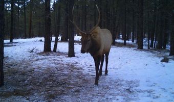 20861 Hwy 160, Bayfield, CO 81122