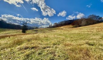 1520 Brittontown Rd, Afton, TN 37616