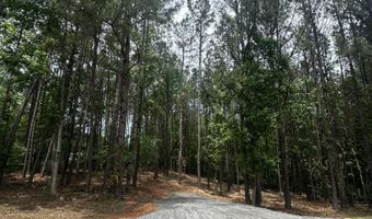 Ridge Road lot E, Appling, GA 30802