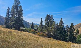 53 Runnin Bear Rd, Carmen, ID 83462