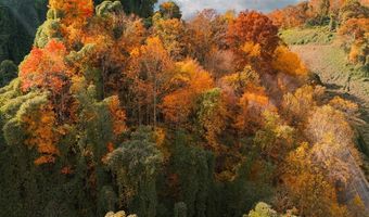 5380 S KY-11, Barbourville, KY 40906