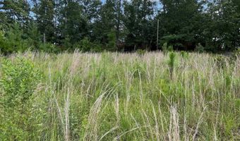 769 Club Cottage Dr, Blythewood, SC 29016